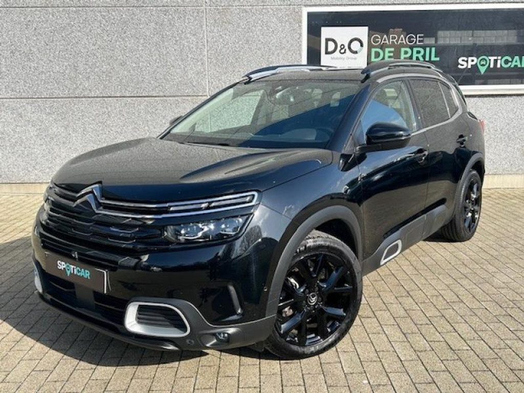 51649945